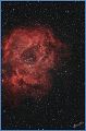 NGC2238_200309