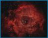 NGC2237 - "Rosettennebel" - Sternbild Einhorn