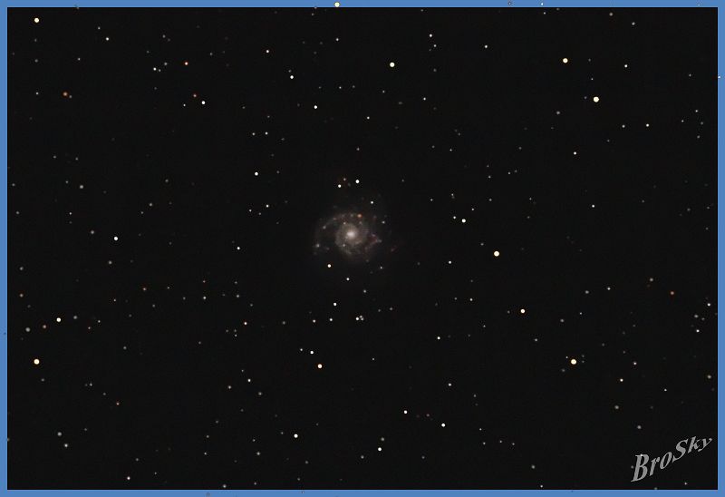 M74_250109.jpg -    Objekt: M74    Sternbild: Pisces - Fische Aufnahmeort: Senden Aufnahmedatum: 25.01.2009 Belichtung: 12 x 300 sec Optik: 127 mm Meade Triplett Apo Kamera: Canon 400D Astro mit Lumicon Deep Sky Filter 