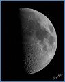 Mond_54z_230310