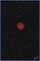 IC5146_281208