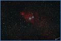 NGC2264_060410