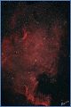 NGC7000_200809
